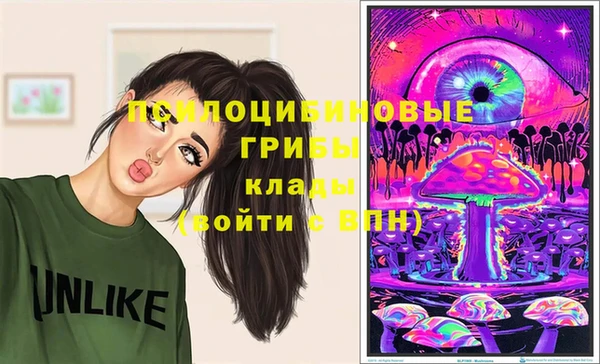 мдма Елизово