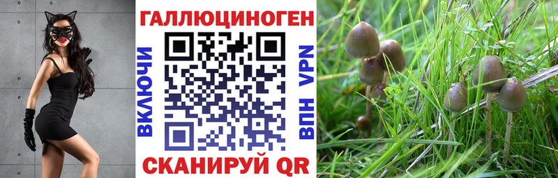 Псилоцибиновые грибы Psilocybine cubensis  Купить где  Кораблино 